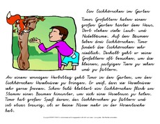 Abschreibtext-Eichhörnchen-4-VA.pdf